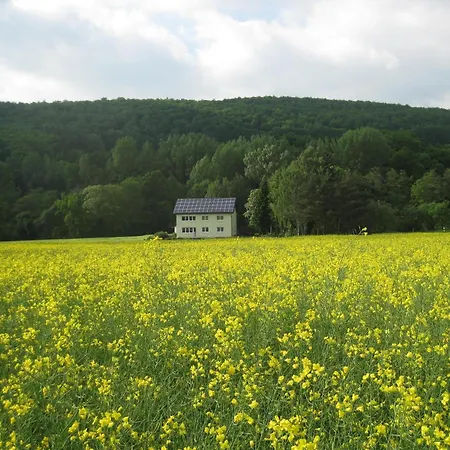 Apartment Im Dachgeschoss, Homberg